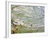 Flooded Laohu Zui Rice Terraces, Mengpin Village, Yuanyang County, Yunnan, China-Charles Crust-Framed Photographic Print