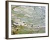 Flooded Laohu Zui Rice Terraces, Mengpin Village, Yuanyang County, Yunnan, China-Charles Crust-Framed Photographic Print