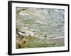 Flooded Laohu Zui Rice Terraces, Mengpin Village, Yuanyang County, Yunnan, China-Charles Crust-Framed Photographic Print
