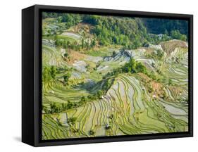 Flooded Laohu Zui Rice Terraces, Mengpin Village, Yuanyang County, Yunnan, China-Charles Crust-Framed Stretched Canvas