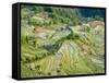 Flooded Laohu Zui Rice Terraces, Mengpin Village, Yuanyang County, Yunnan, China-Charles Crust-Framed Stretched Canvas