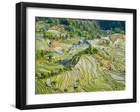 Flooded Laohu Zui Rice Terraces, Mengpin Village, Yuanyang County, Yunnan, China-Charles Crust-Framed Photographic Print