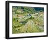 Flooded Laohu Zui Rice Terraces, Mengpin Village, Yuanyang County, Yunnan, China-Charles Crust-Framed Photographic Print