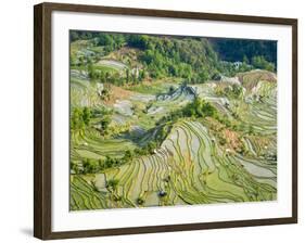 Flooded Laohu Zui Rice Terraces, Mengpin Village, Yuanyang County, Yunnan, China-Charles Crust-Framed Photographic Print