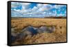 Flooded Meadows in Early Spring-Anatolii Lyzun-Framed Stretched Canvas