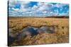 Flooded Meadows in Early Spring-Anatolii Lyzun-Stretched Canvas