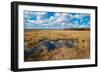 Flooded Meadows in Early Spring-Anatolii Lyzun-Framed Photographic Print