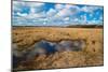 Flooded Meadows in Early Spring-Anatolii Lyzun-Mounted Photographic Print