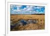 Flooded Meadows in Early Spring-Anatolii Lyzun-Framed Photographic Print