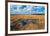 Flooded Meadows in Early Spring-Anatolii Lyzun-Framed Photographic Print