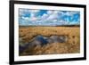 Flooded Meadows in Early Spring-Anatolii Lyzun-Framed Photographic Print