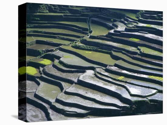 Flooded Rice Terraces, 2000 Years Old, Banaue, Island of Luzon, Philippines, Southeast Asia, Asia-Maurice Joseph-Stretched Canvas