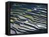 Flooded Rice Terraces, 2000 Years Old, Banaue, Island of Luzon, Philippines, Southeast Asia, Asia-Maurice Joseph-Framed Stretched Canvas