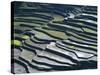 Flooded Rice Terraces, 2000 Years Old, Banaue, Island of Luzon, Philippines, Southeast Asia, Asia-Maurice Joseph-Stretched Canvas