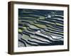 Flooded Rice Terraces, 2000 Years Old, Banaue, Island of Luzon, Philippines, Southeast Asia, Asia-Maurice Joseph-Framed Premium Photographic Print