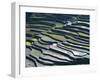 Flooded Rice Terraces, 2000 Years Old, Banaue, Island of Luzon, Philippines, Southeast Asia, Asia-Maurice Joseph-Framed Premium Photographic Print