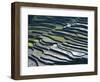 Flooded Rice Terraces, 2000 Years Old, Banaue, Island of Luzon, Philippines, Southeast Asia, Asia-Maurice Joseph-Framed Photographic Print