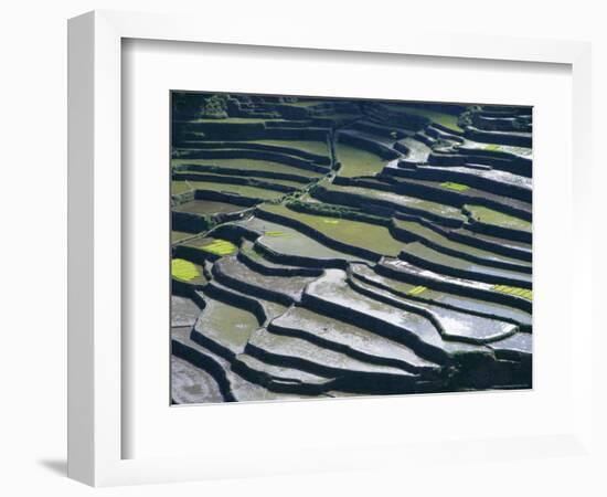 Flooded Rice Terraces, 2000 Years Old, Banaue, Island of Luzon, Philippines, Southeast Asia, Asia-Maurice Joseph-Framed Photographic Print