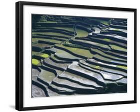 Flooded Rice Terraces, 2000 Years Old, Banaue, Island of Luzon, Philippines, Southeast Asia, Asia-Maurice Joseph-Framed Photographic Print