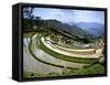Flooded Rice Terraces, Panzhihua Village, Yuanyang County, Yunnan Province, China-Charles Crust-Framed Stretched Canvas