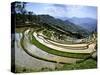 Flooded Rice Terraces, Panzhihua Village, Yuanyang County, Yunnan Province, China-Charles Crust-Stretched Canvas