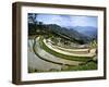 Flooded Rice Terraces, Panzhihua Village, Yuanyang County, Yunnan Province, China-Charles Crust-Framed Photographic Print