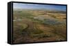 Flooded Savanna Rupununi, Guyana-Pete Oxford-Framed Stretched Canvas