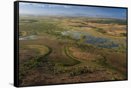 Flooded Savanna Rupununi, Guyana-Pete Oxford-Framed Stretched Canvas