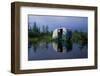 Flooded Trailer Near Alaska Highway-Paul Souders-Framed Photographic Print