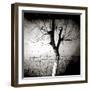 Floodlit Tree at Night, Against Mud Wall, Chefchaouen, Morocco-Lee Frost-Framed Photographic Print