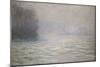 Floods on the Seine Near Bennecourt; Debacle, La Seine Pres Bennecourt, 1893-Claude Monet-Mounted Giclee Print