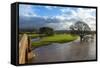 Floodwaters, Lazonby Bridge, River Eden, Eden Valley, Cumbria, England, United Kingdom, Europe-James Emmerson-Framed Stretched Canvas