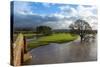 Floodwaters, Lazonby Bridge, River Eden, Eden Valley, Cumbria, England, United Kingdom, Europe-James Emmerson-Stretched Canvas