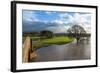 Floodwaters, Lazonby Bridge, River Eden, Eden Valley, Cumbria, England, United Kingdom, Europe-James Emmerson-Framed Photographic Print