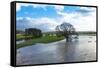 Floodwaters, River Eden, Eden Valley, Cumbria, England, United Kingdom, Europe-James-Framed Stretched Canvas