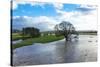 Floodwaters, River Eden, Eden Valley, Cumbria, England, United Kingdom, Europe-James-Stretched Canvas
