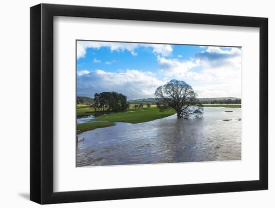 Floodwaters, River Eden, Eden Valley, Cumbria, England, United Kingdom, Europe-James-Framed Photographic Print