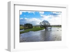 Floodwaters, River Eden, Eden Valley, Cumbria, England, United Kingdom, Europe-James-Framed Photographic Print