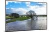 Floodwaters, River Eden, Eden Valley, Cumbria, England, United Kingdom, Europe-James-Mounted Photographic Print