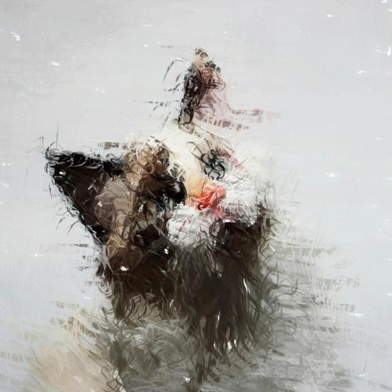 Photographic Print, , large