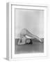 White Frame