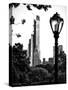 Floor Lamp in Central Park Overlooking Buildings (Essex House), Manhattan, New York-Philippe Hugonnard-Stretched Canvas