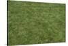 Floor Mat Grass-Color Bakery-Stretched Canvas