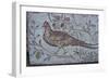 Floor mosaic from a Roman villa-Unknown-Framed Giclee Print