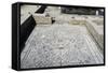 Floor Mosaic-null-Framed Stretched Canvas