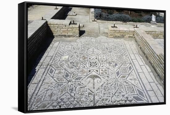 Floor Mosaic-null-Framed Stretched Canvas