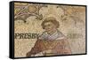 Floor Mosaics-G and M Therin-Weise-Framed Stretched Canvas