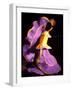 Floor Show at Xcaret, Riviera Maya, Mexico-Greg Johnston-Framed Photographic Print