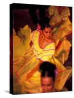 Floor Show at Xcaret, Riviera Maya, Mexico-Greg Johnston-Stretched Canvas