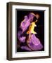 Floor Show at Xcaret, Riviera Maya, Mexico-Greg Johnston-Framed Premium Photographic Print